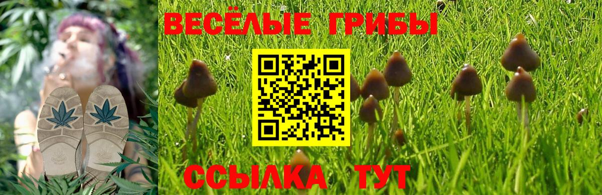 Горячий Ключ  Галлюциногенные грибы Magic Shrooms  Вход с VPN 