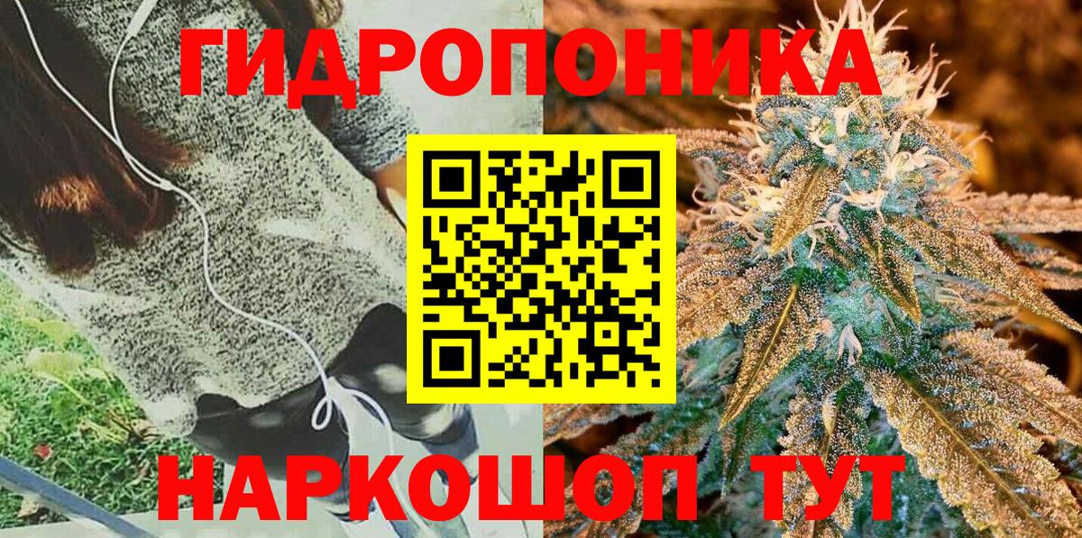 Шишки марихуана OG Kush Горячий Ключ